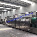Thermal Oil DW Series Belt Dryer Rose Performance Stable
