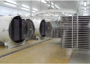 Quality 1000Kg Large Vacuum Degree Freeze Dryer With Electric Heating wholesale