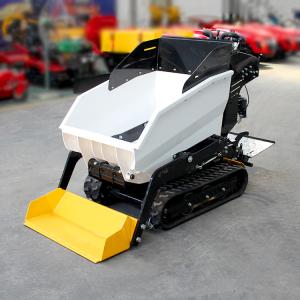Quality ISO/EPA Certified Mini Dumper Truck with 500kg Capacity and Low Maintenance Cost wholesale