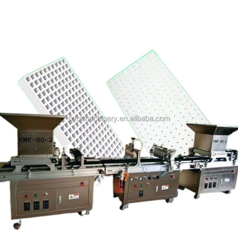 Multifunctional Tray Seeder The Ultimate Tool for Planting Vegetable and Pumpkin Seeds
