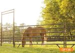 Welded Round Tube 2.2mx1.7m Livestock Fence Panels For Horse