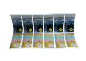 Quality Laser Hologram Personalised Self Adhesive Labels With Special Metllic Texture wholesale