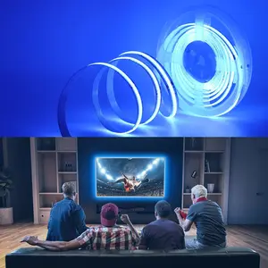 Product Weight 0.3kg 5m 10m Smart Strip Light with Dream Colour RGB COB Chip LED