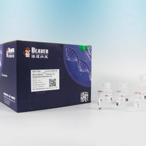 Quality 22203 Protein A/G Immunoprecipitation Kit With Flexible Simple Operation wholesale