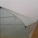 Economical High Hoop Agriculture 60m Tunnel Plastic Greenhouse