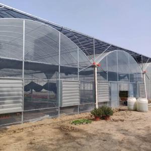 Quality Polyethylene Film Multi Span Greenhouse Agricultural Commercial Industrial wholesale