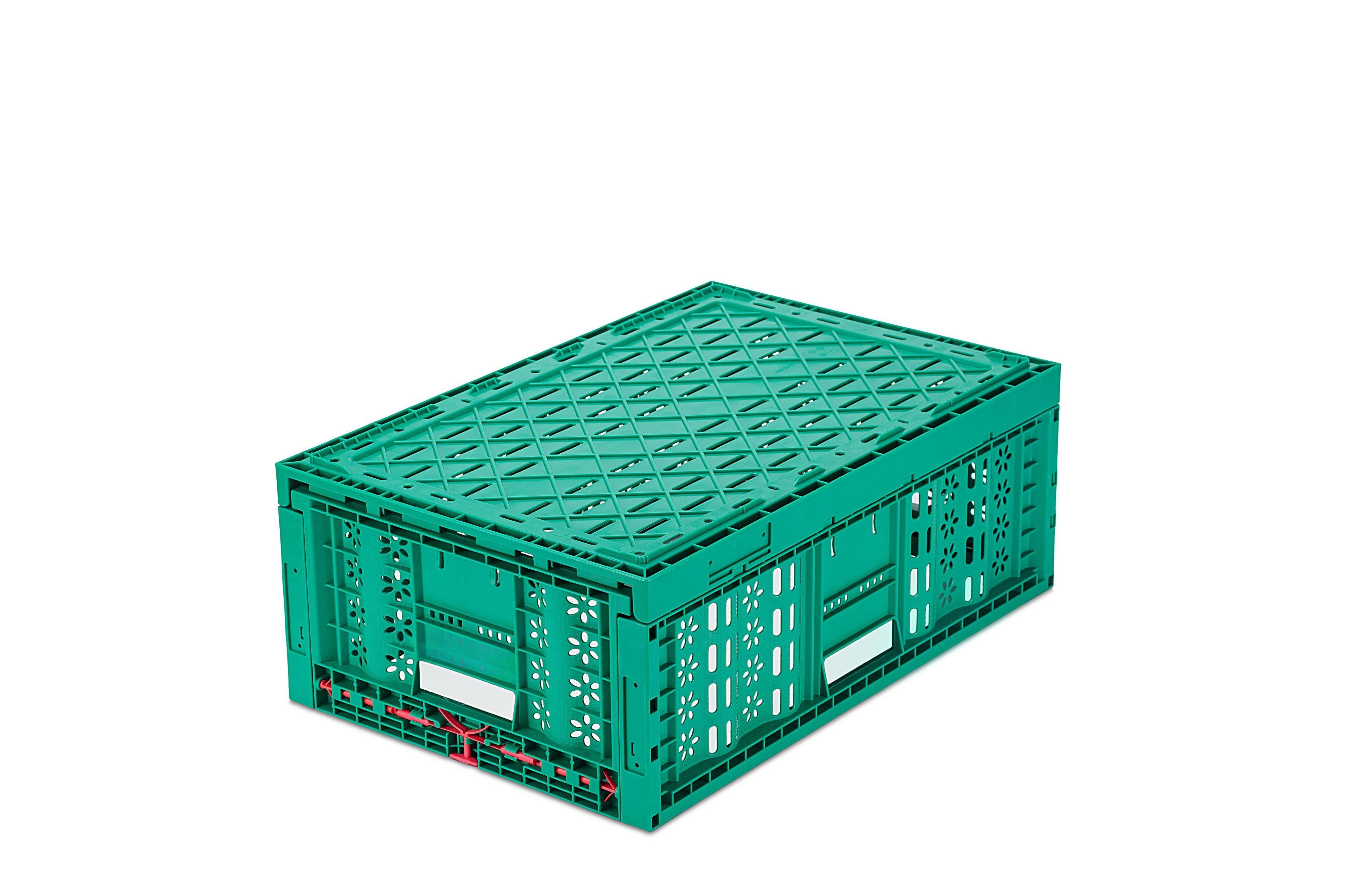 PP Stackable Foldable Box Vegetable Plastic Crate in Durable Green for Food Industry
