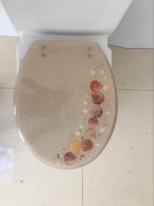 Quality sealife polyresin decorate sanitary ware toilet seat with best quality hinge,sand toilet seat wholesale