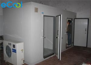 Quality Electric Defrosting Mini Cold Storage For Vegetables Fast Construction wholesale