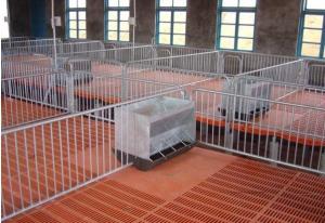 Quality Pig project- nursery pen wholesale