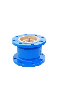 Quality Full Flow Design DIN Silencing Check Valve Cast Iron Any Direction Installation wholesale