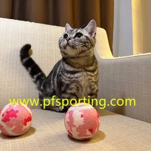 Quality large dog tennis ball wholesale