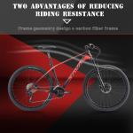 Hydraulic Disc Brake Carbon MTB Bike , DECK6.0 29er Carbon Bike