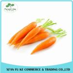 High Quality Carrot Extract Beta Carotene Powder