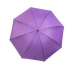 Windproof Folding Pongee Fabric Promotional Umbrella
