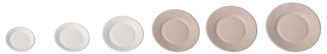 Disposable Tableware Biodegradable Sugarcane Bagasse Plates Refrigerator Wedding