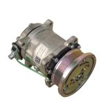 Sinotruck/Sinotruk Truck Air Conditioning AC Compressor Wg1500139016 Battery