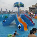 Humanization Design Water Park Playground Equipment Water Park Instrument