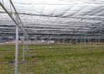 Customized Design Plastic Film Greenhouse , Lettuces Multi Tunnel Greenhouse