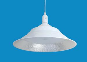 Quality 30W LED High Bay Light 90 ~ 100lm/W For Countryside Street Light Dimmable wholesale
