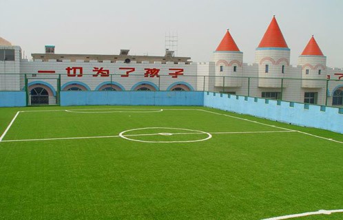 Indoor Outdoor Non Infill Artificial Grass Soccer Field Mini Two Layers