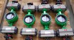 pneumatic rotary actuator control for butterfly valves