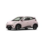 BYD Seagull 2024 Honor Version 305KM Vitality Version