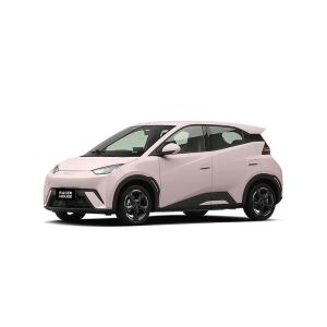 Quality BYD Seagull 2024 Honor Version 305KM Vitality Version wholesale