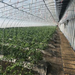 Quality PE Film Passive Solar Powered Greenhouse With Winter Heating System wholesale