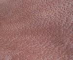 Natural African Sapele Pommele Wood Veneer Sheet