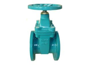 Quality (DIN) Cast Iron Resilient Gate Valve nor-rising stem wholesale