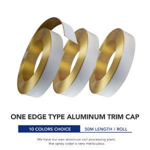 Quality Brush Gold Anodized Cast Aluminium Channel Letter Coil Color Coated wholesale