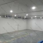 Commercial Freezer Cold Room 220V 380V Air Cooled / Water Cooled