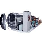 Vacuum Freeze Fruit And Vegetable Lyophilizer Dried Drying Machine