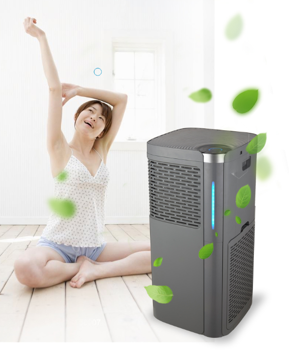Homefish High Efficiency Deep Cleaning Air Purifier Large Coverage HEPA Carbon Filter Multi-layer Filter Air Purifier With Light