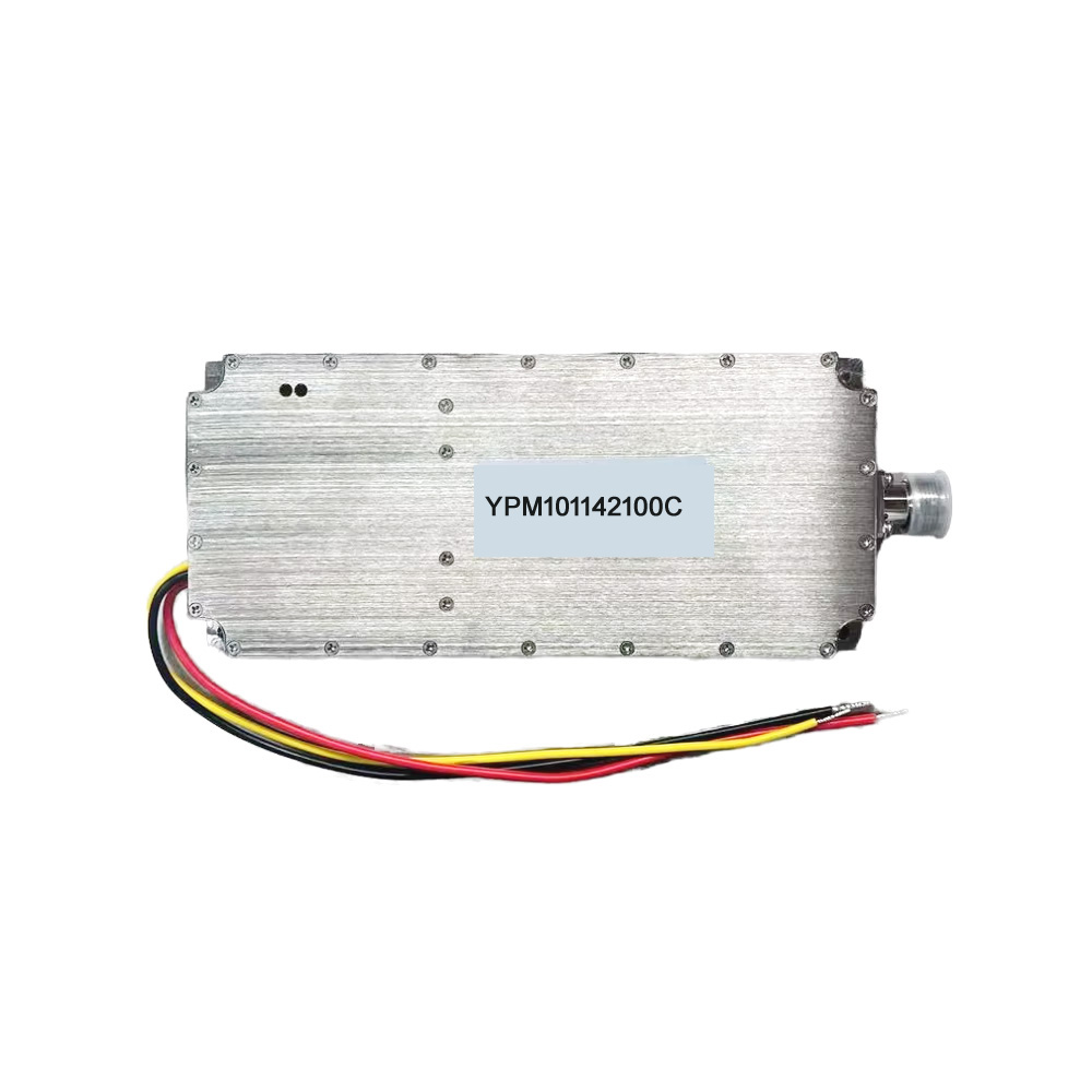 YPM101142100C.jpg