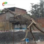 Fiberglass Life Size Dinosaur Skull Replica Hadrosaurus Skeleton anti aging