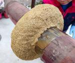 Negligible Volatility Petrolatum Mastic For Long-Lasting Fitting Sealing