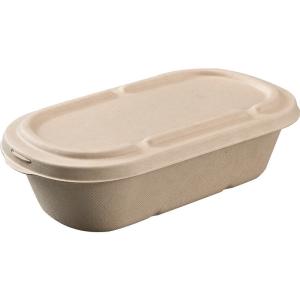 Quality Sugarcane Bagasse Salad Fruit Take Away Food Containers Biodegradable wholesale