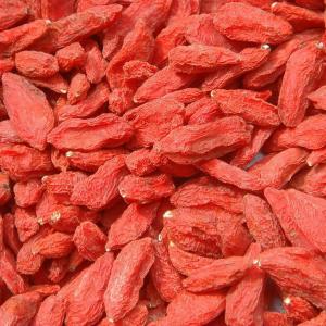 Quality GMP Manufacturer 100% Natural Bulk Organic Goji wholesale