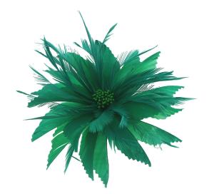 Quality Patterned Chicken Headband Feather Mounts , Dyed Green Goose Feather Flowers wholesale