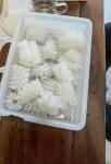 Fixed Weight Fresh Frozen squid flower (Dosidicus Gigas)