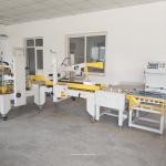 220V 50Hz 1P Carton Box Packing Machine 200W Automatic Case Packer