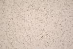Solid Suface Cararra White Color for Countertop/Vanity Top/Island Top/Floor