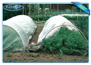 Quality Good Strength Black / White Color 30 gsm Agriculture Non Woven Cover wholesale