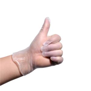 Quality Smooth Transparent Pvc Disposable Gloves White Latex Vinyl Exam Gloves wholesale