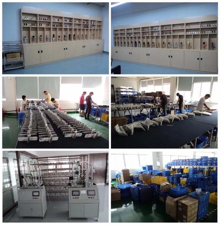 Electronic Water Park RFID Bracelet Key Fingerprint Cabinet Locks