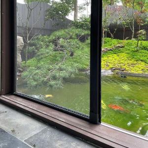 Quality High Durability Retractable Screen Door Systems With Insect Protection wholesale
