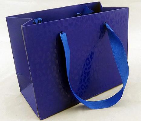 Glossy Lamination Ribbion Handle Luxury Paper Shopping Bags for Clothing