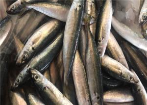 Quality Decapterus Muroaji 60g 65g Fresh Frozen Mackerel For Bait wholesale